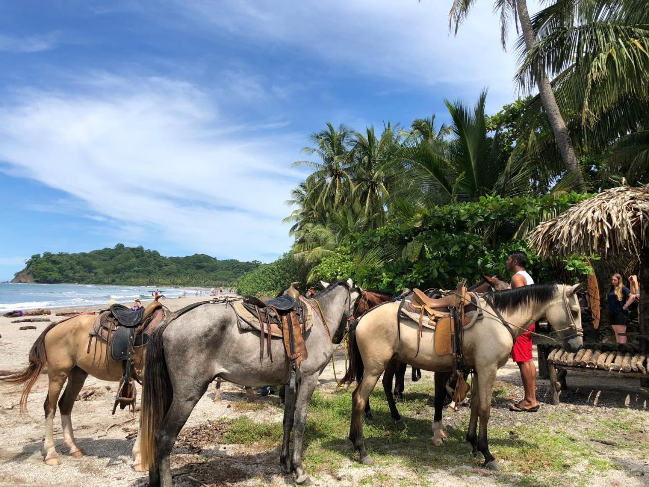 Macao Beach Sámara Екстериор снимка